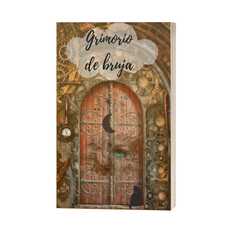 Porta antigua con detalles decorativos y un gato negro en la parte inferior.